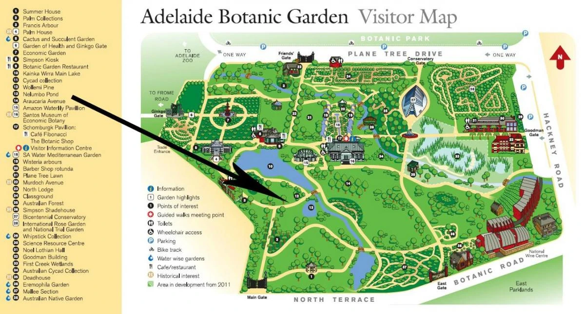 botanic gardens Adelaide map